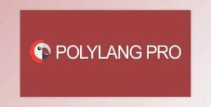 Polylang Pro – Multilingual Plugin